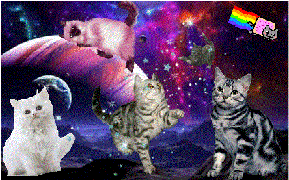 I'm sorry I can't find the images MEOW